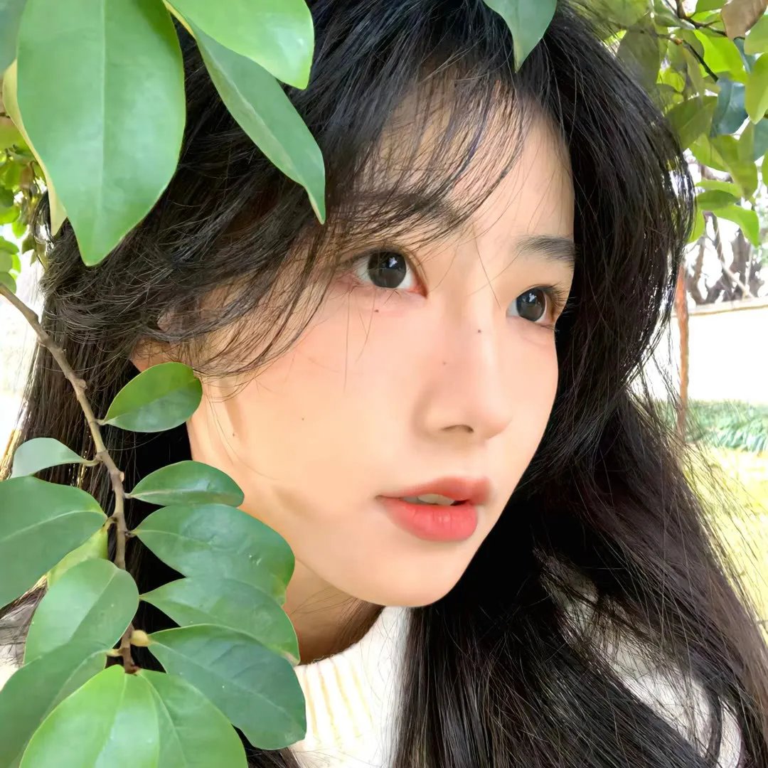 万物生灵第三季海报